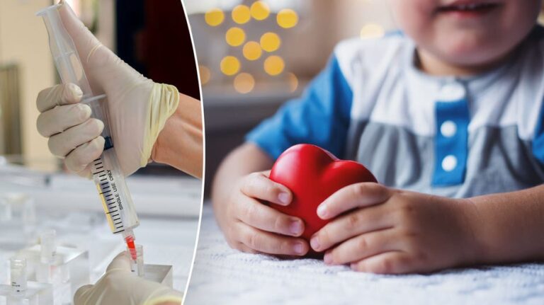 Stem Cell Therapy To Correct Heart Failure In Children Could 'transform ...